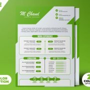 Premium & Clean Resume CV Template PSD