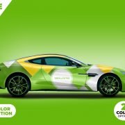 Aston Martin Car Branding Mockup PSD